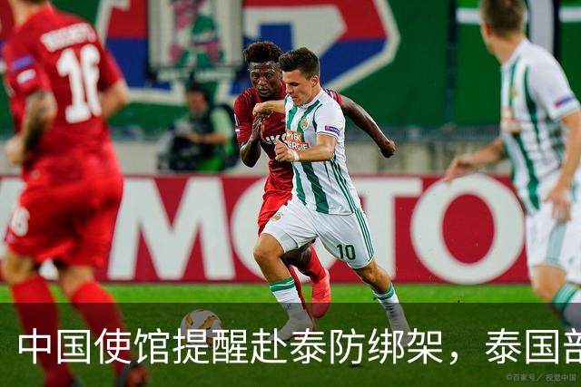 中国使馆提醒赴泰防绑架，泰国部长质疑，怎么其他国家游客没遇到